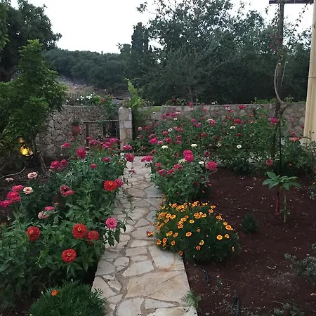Vervekis فيسكاردو