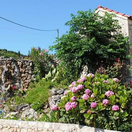 Vervekis * Φισκάρδο